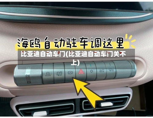 比亚迪自动车门(比亚迪自动车门关不上)-第1张图片