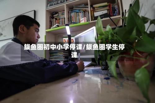 鲅鱼圈初中小学停课/鲅鱼圈学生停课-第1张图片