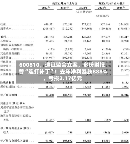 600810，遭证监会立案	，多份财报曾“连打补丁”！去年净利暴跌888%，亏损2.17亿元-第1张图片