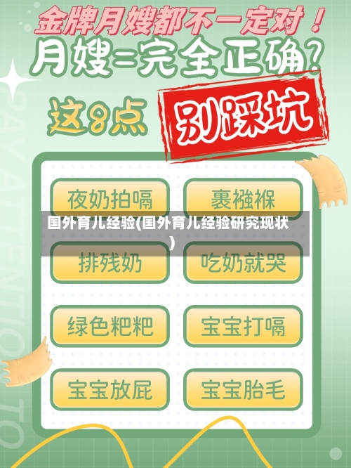 国外育儿经验(国外育儿经验研究现状)-第1张图片