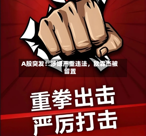 A股突发！涉嫌严重违法，欧霖杰被留置-第1张图片