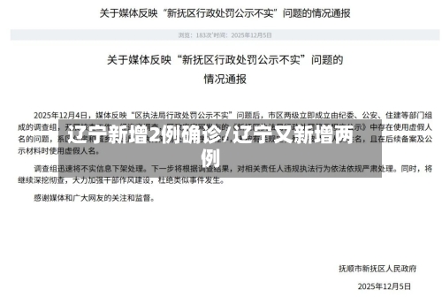 辽宁新增2例确诊/辽宁又新增两例-第2张图片