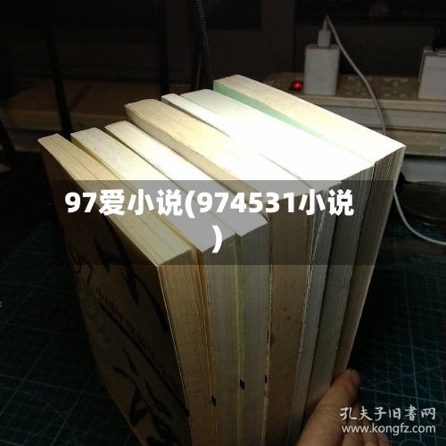 97爱小说(974531小说)-第3张图片