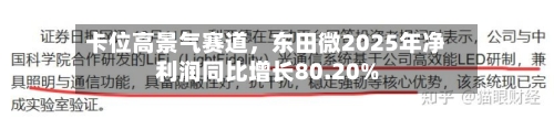 卡位高景气赛道，东田微2025年净利润同比增长80.20%-第3张图片
