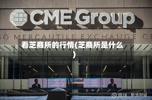 看芝商所的行情(芝商所是什么)-第2张图片