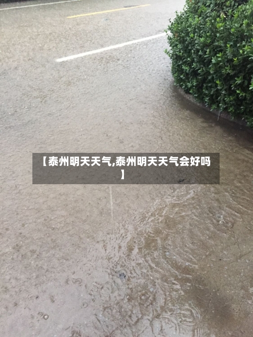 【泰州明天天气,泰州明天天气会好吗】-第2张图片