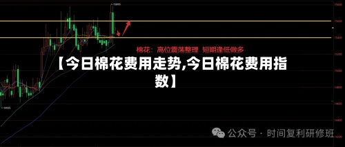 【今日棉花费用走势,今日棉花费用指数】-第1张图片