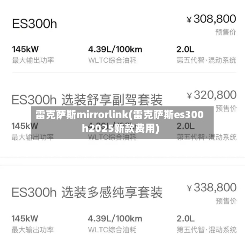雷克萨斯mirrorlink(雷克萨斯es300h2025新款费用)-第2张图片