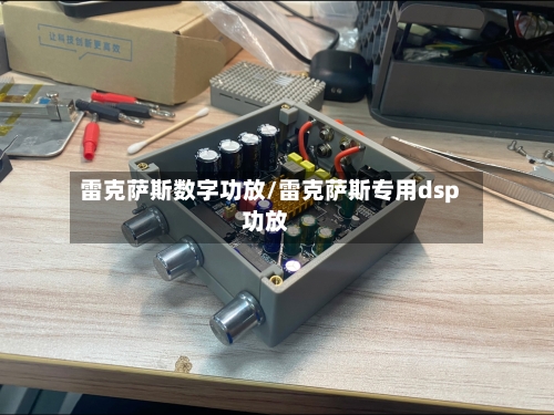 雷克萨斯数字功放/雷克萨斯专用dsp功放-第2张图片