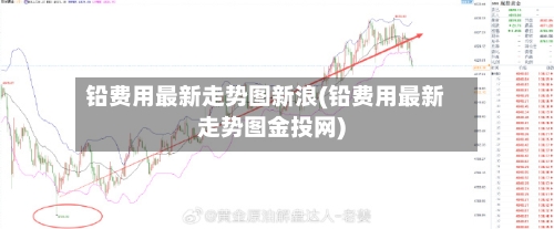 铅费用最新走势图新浪(铅费用最新走势图金投网)-第1张图片