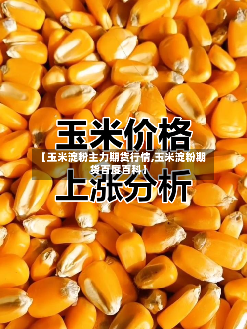 【玉米淀粉主力期货行情,玉米淀粉期货百度百科】-第1张图片