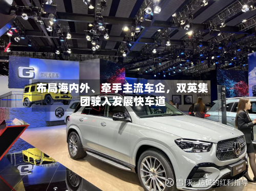 布局海内外、牵手主流车企	，双英集团驶入发展快车道-第1张图片