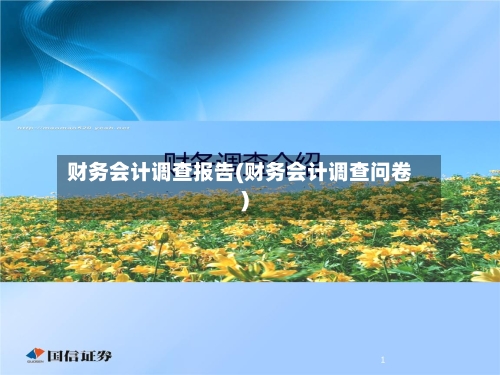 财务会计调查报告(财务会计调查问卷)-第3张图片