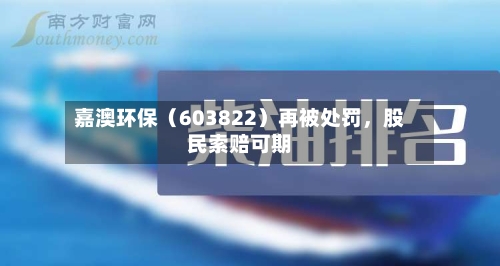 嘉澳环保（603822）再被处罚	，股民索赔可期-第2张图片