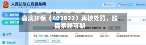 嘉澳环保（603822）再被处罚	，股民索赔可期-第1张图片