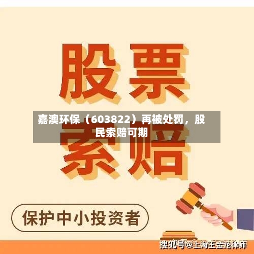 嘉澳环保（603822）再被处罚，股民索赔可期-第3张图片