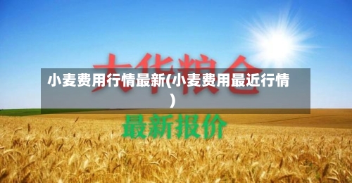 小麦费用行情最新(小麦费用最近行情)-第2张图片