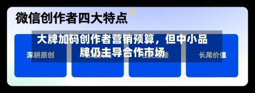 大牌加码创作者营销预算	，但中小品牌仍主导合作市场-第1张图片