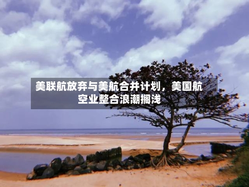 美联航放弃与美航合并计划，美国航空业整合浪潮搁浅-第2张图片