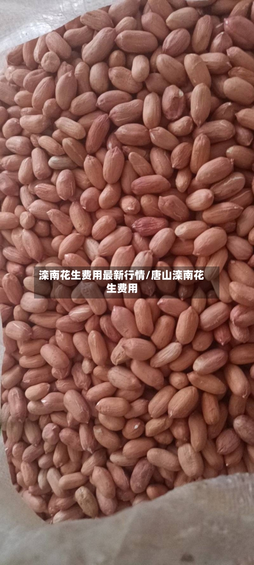 滦南花生费用最新行情/唐山滦南花生费用-第3张图片