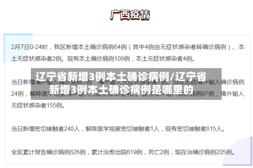 辽宁省新增3例本土确诊病例/辽宁省新增3例本土确诊病例是哪里的-第1张图片