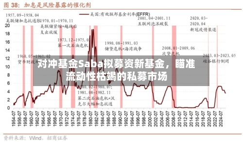 对冲基金Saba拟募资新基金，瞄准流动性枯竭的私募市场-第1张图片