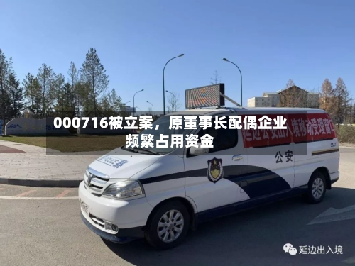 000716被立案	，原董事长配偶企业频繁占用资金-第1张图片