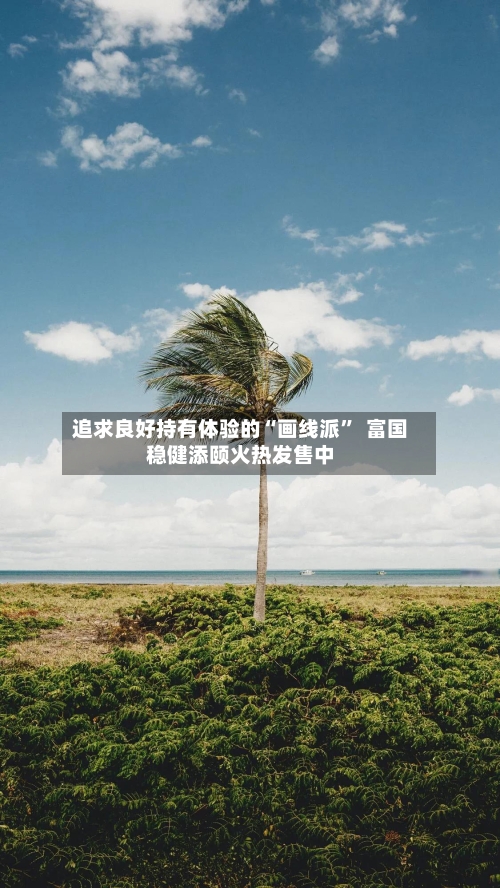 追求良好持有体验的“画线派”  富国稳健添颐火热发售中-第2张图片