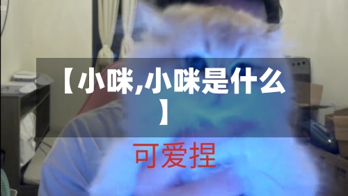 【小咪,小咪是什么】-第1张图片