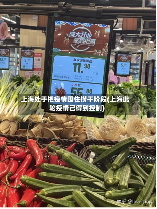 上海处于把疫情围住捞干阶段(上海此轮疫情已得到控制)-第2张图片