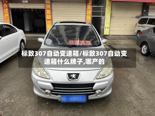 标致307自动变速箱/标致307自动变速箱什么牌子,哪产的-第2张图片