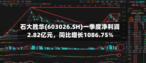石大胜华(603026.SH)一季度净利润2.82亿元，同比增长1086.75%-第1张图片