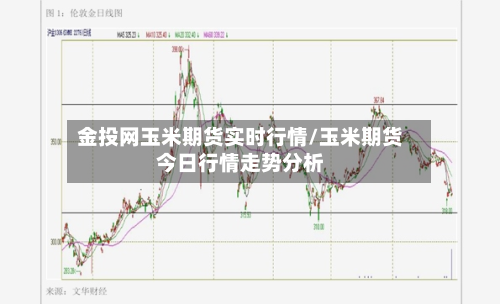 金投网玉米期货实时行情/玉米期货今日行情走势分析-第1张图片