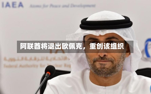 阿联酋将退出欧佩克，重创该组织-第2张图片