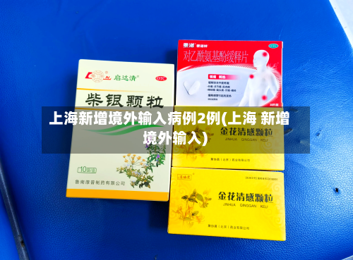 上海新增境外输入病例2例(上海 新增 境外输入)-第2张图片