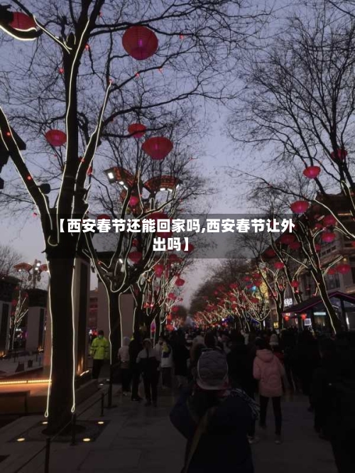 【西安春节还能回家吗,西安春节让外出吗】-第1张图片