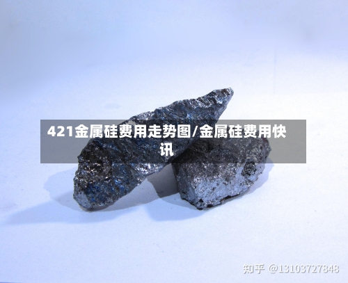 421金属硅费用走势图/金属硅费用快讯-第1张图片