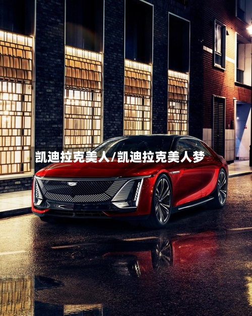 凯迪拉克美人/凯迪拉克美人梦-第1张图片