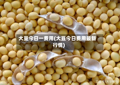 大豆今日一费用(大豆今日费用最新行情)-第1张图片