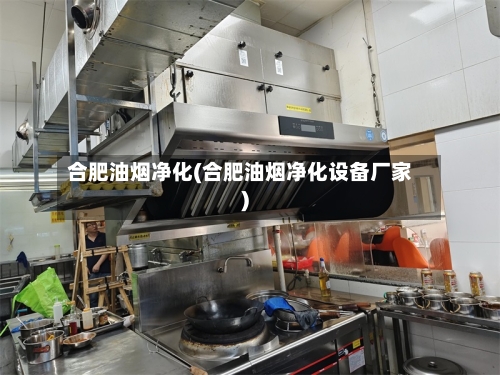 合肥油烟净化(合肥油烟净化设备厂家)-第2张图片