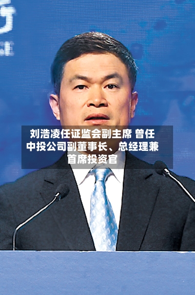刘浩凌任证监会副主席 曾任中投公司副董事长、总经理兼首席投资官-第2张图片