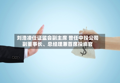 刘浩凌任证监会副主席 曾任中投公司副董事长、总经理兼首席投资官-第3张图片