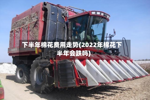 下半年棉花费用走势(2022年棉花下半年会跌吗)-第3张图片