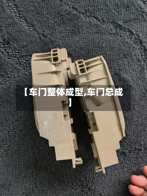 【车门整体成型,车门总成】-第2张图片