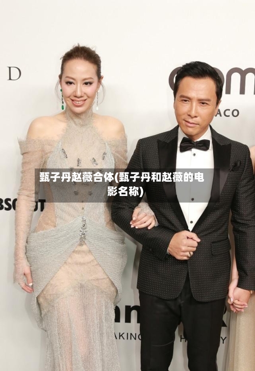 甄子丹赵薇合体(甄子丹和赵薇的电影名称)-第1张图片