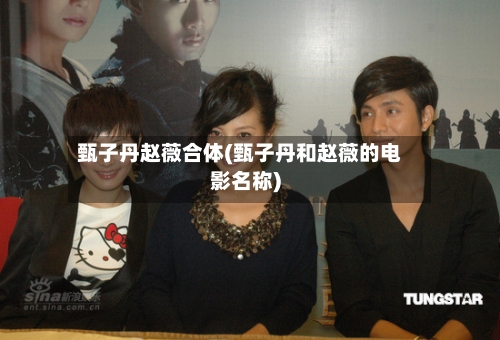 甄子丹赵薇合体(甄子丹和赵薇的电影名称)-第2张图片
