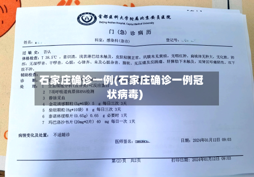 石家庄确诊一例(石家庄确诊一例冠状病毒)-第1张图片