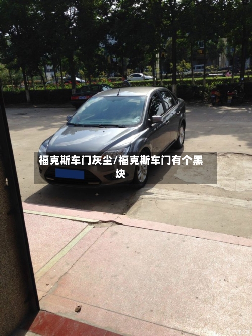 福克斯车门灰尘/福克斯车门有个黑块-第1张图片