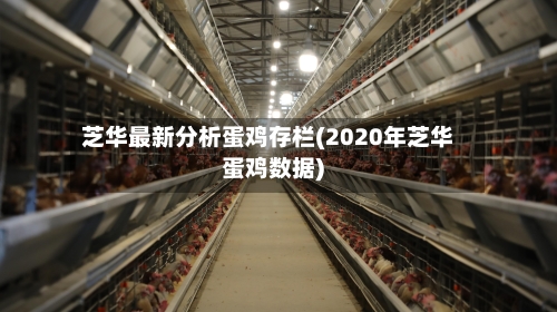 芝华最新分析蛋鸡存栏(2020年芝华蛋鸡数据)-第1张图片
