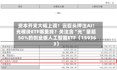 资本开支大幅上调！云巨头押注AI！光模块ETF哪里找？关注含“光	”量超50%的创业板人工智能ETF（159363）-第3张图片